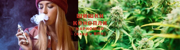 spice Арсеньев