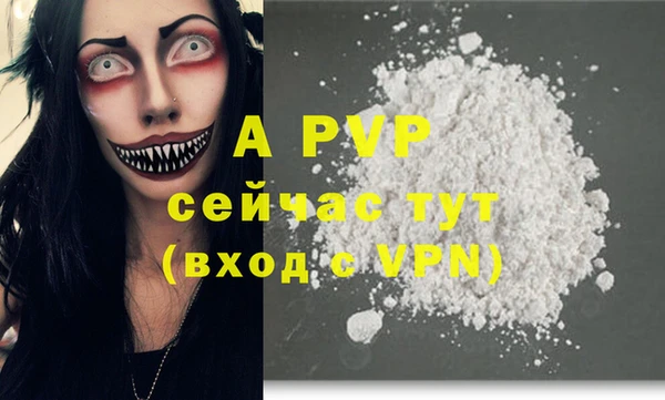 spice Арсеньев